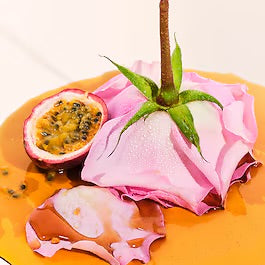 Brume Sol de Janeiro - 91